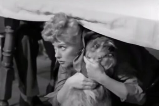 Lucille Ball tries to wrestle a piece of steak away from a dog named Butch